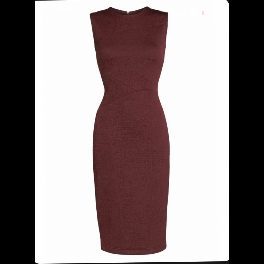 Forest Lily burgundy textured sheath dress (sz 4, NWOT)